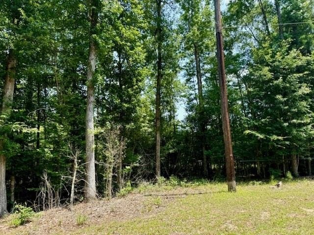 29.76 acres in Texas County