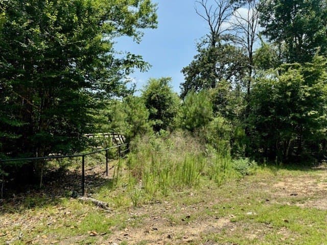 29.76 acres in Texas County gallery image 2