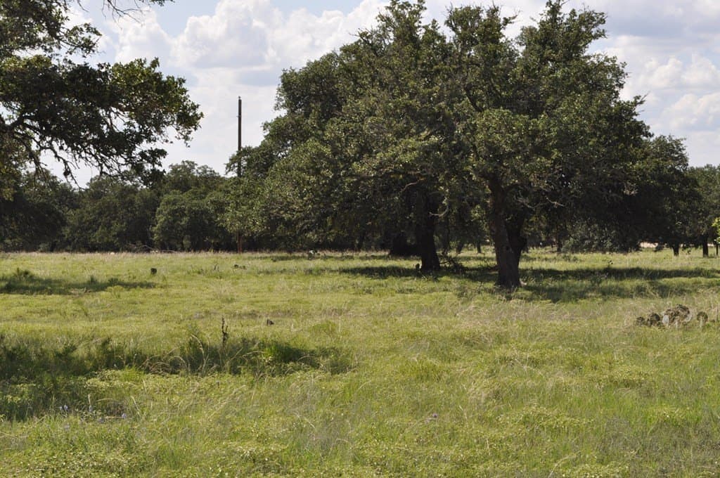 10.01 acres in Kimble County gallery image 3