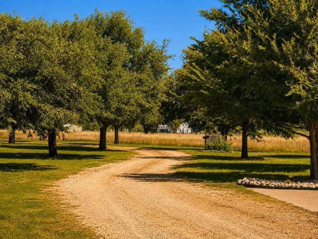 46.34 acres in McLennan County - photo 5