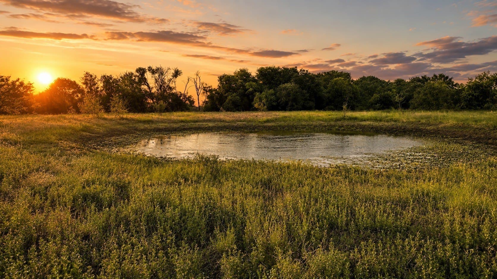 46.34 acres in McLennan County - photo 38