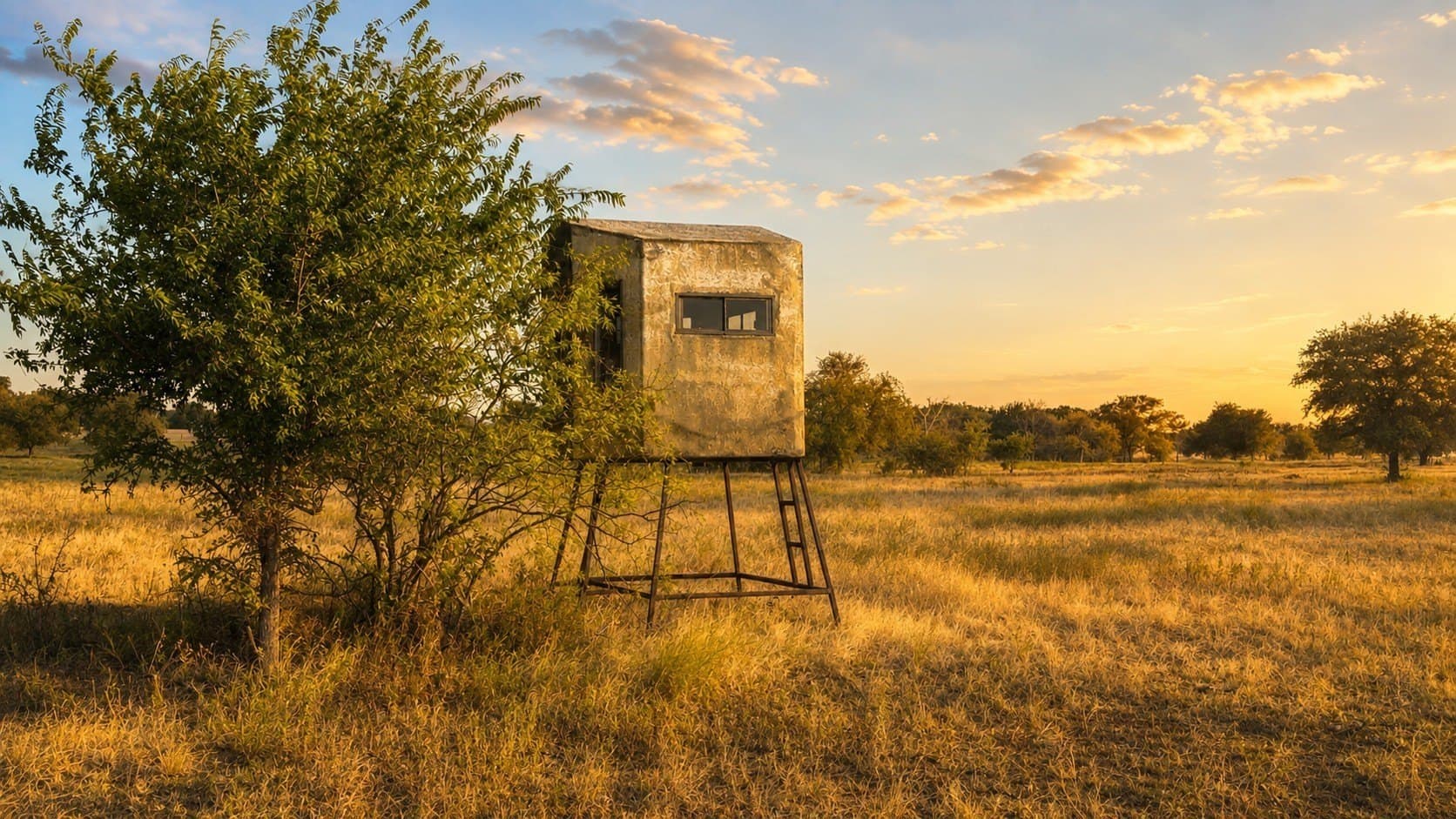 46.34 acres in McLennan County - photo 40