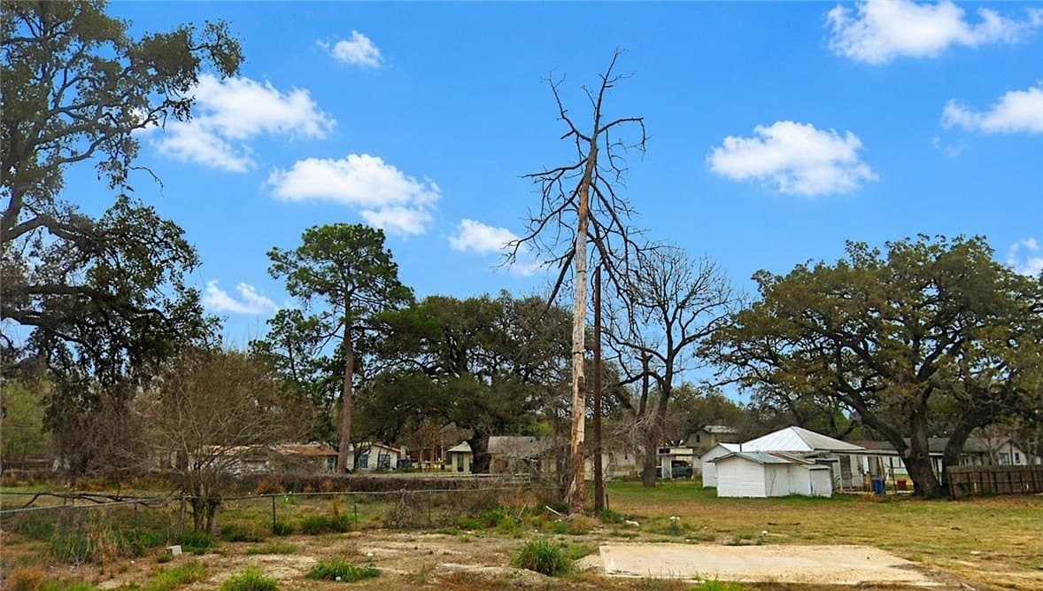0.06 acres in Atascosa County gallery image 2