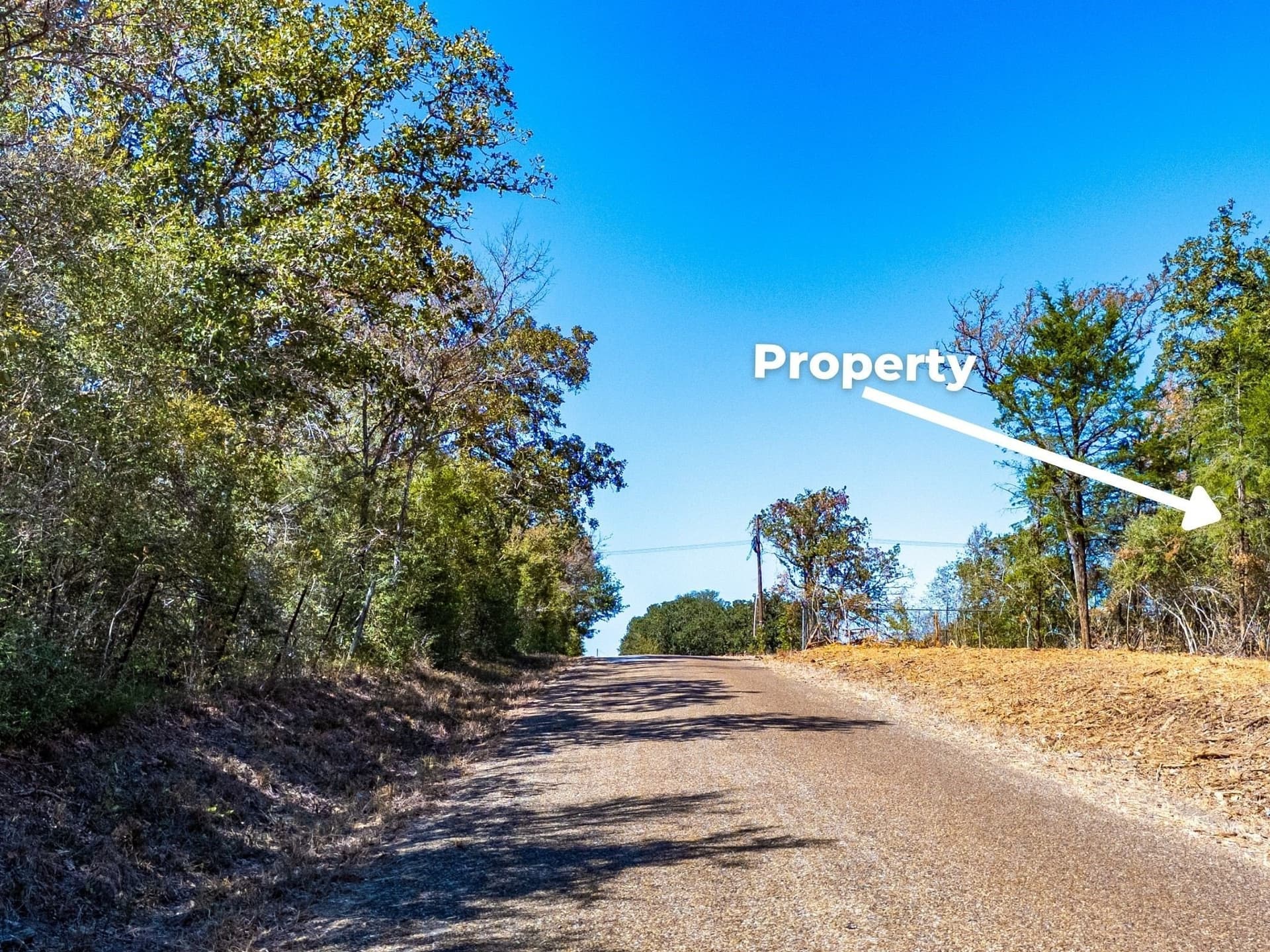 11 acres in Burleson County - photo 19