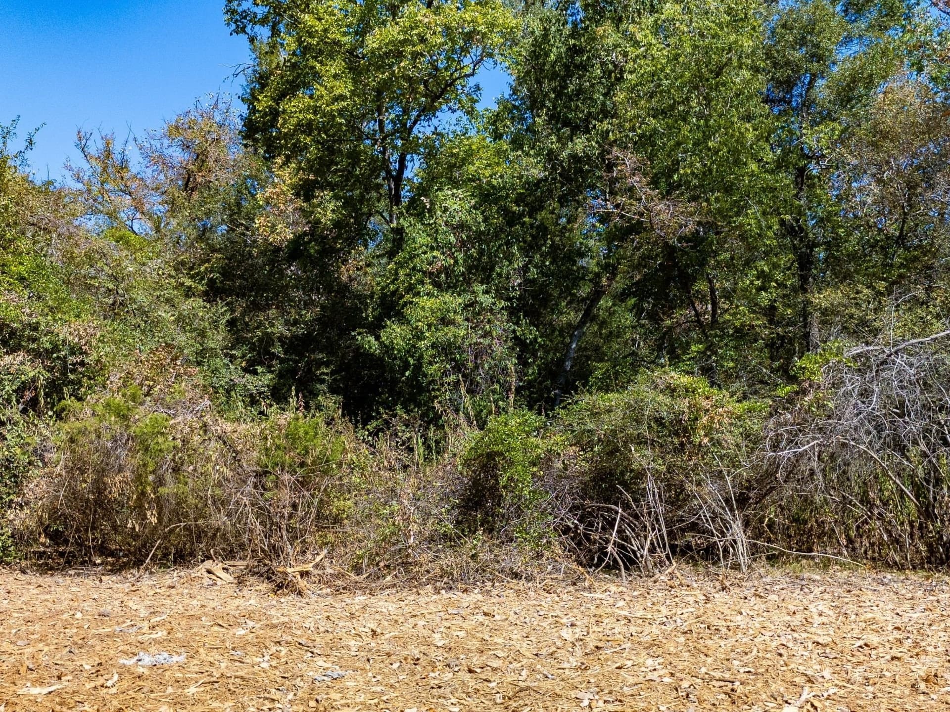 11 acres in Burleson County - photo 18