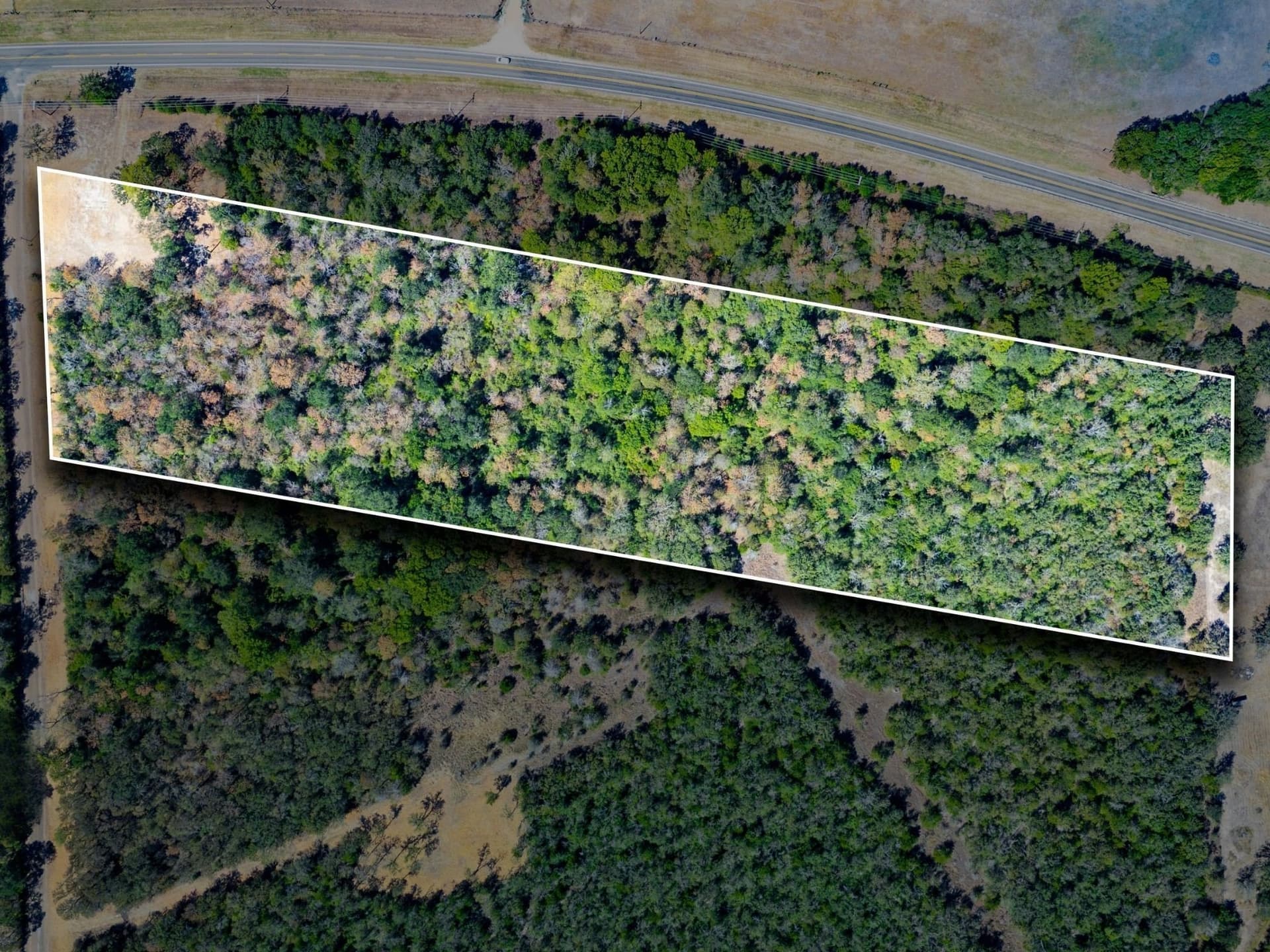 11 acres in Burleson County - photo 10