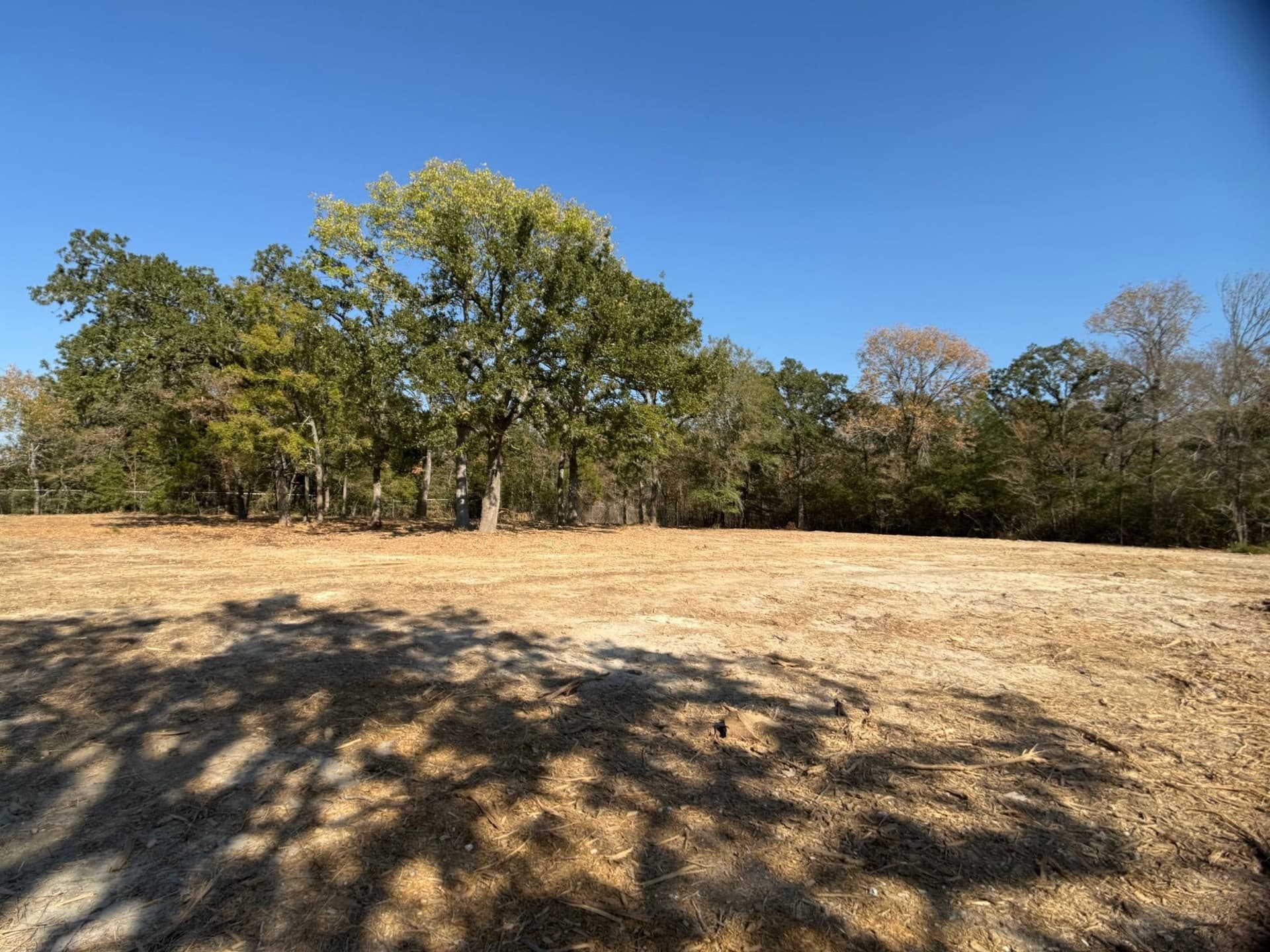 11 acres in Burleson County - photo 3
