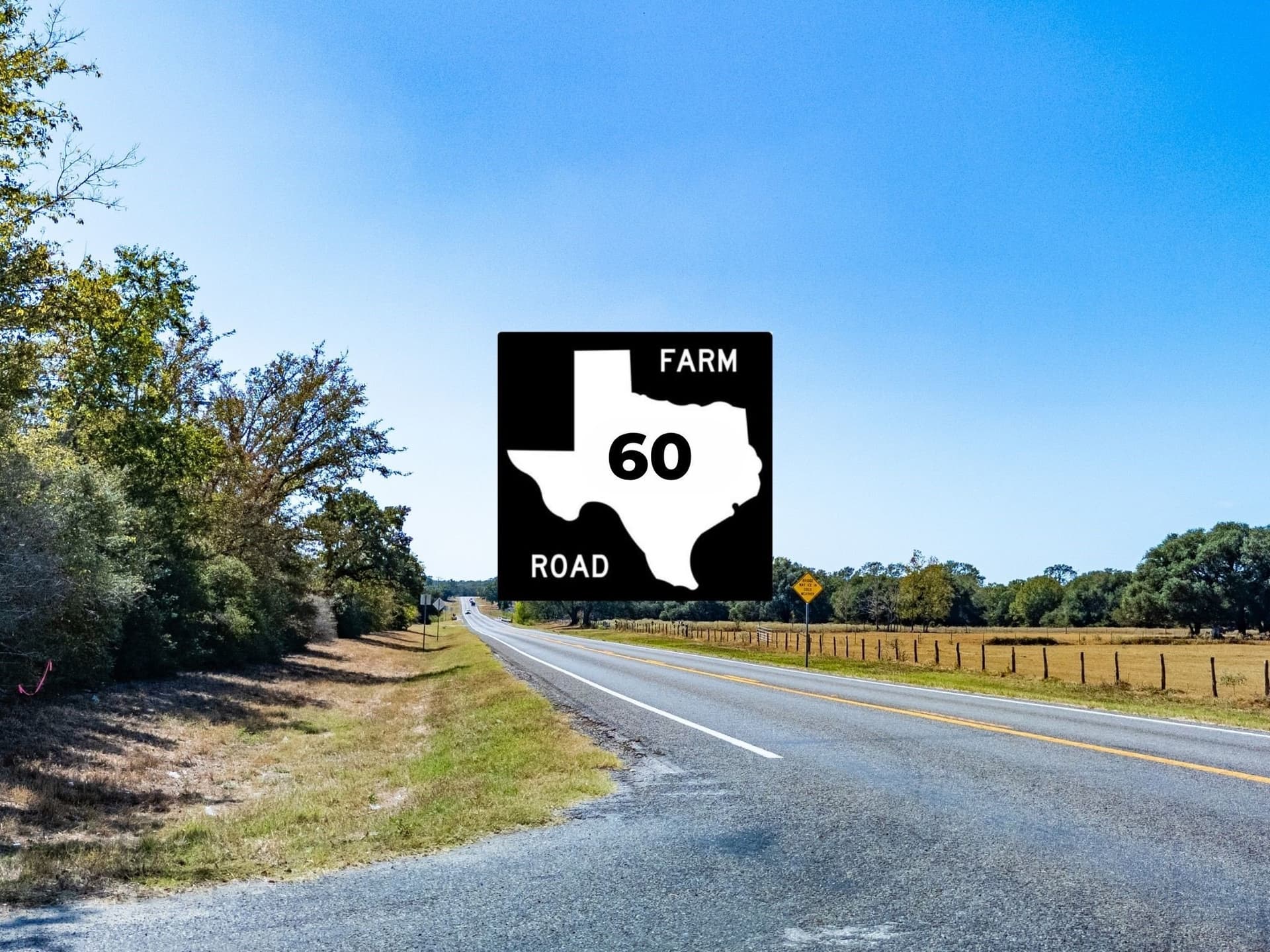 11 acres in Burleson County - photo 21