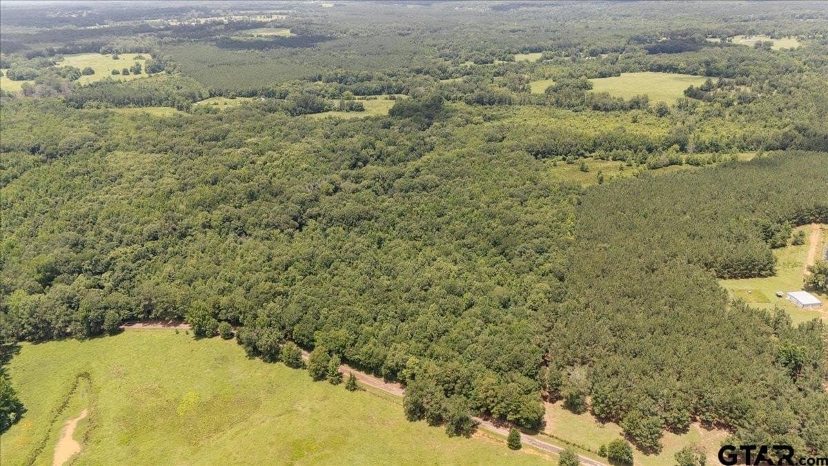 38.11 acres in Rusk County gallery image 2