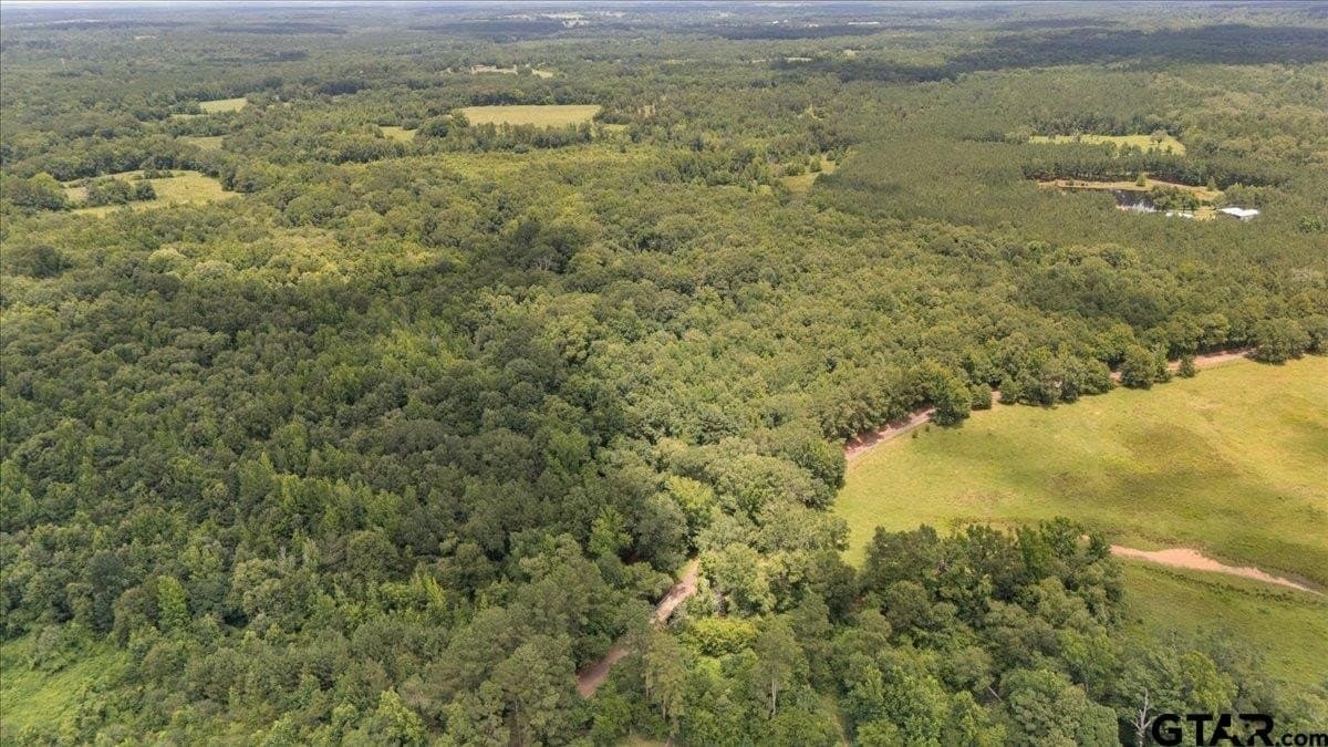 38.11 acres in Rusk County gallery image 4