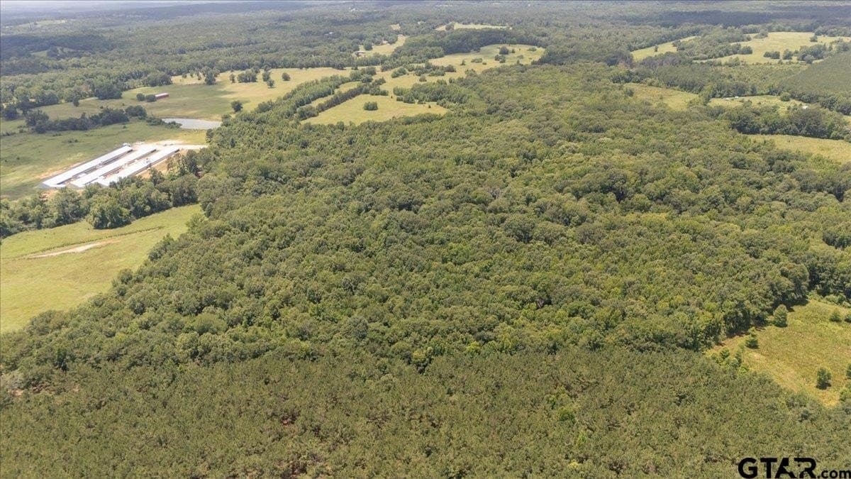 38.11 acres in Rusk County gallery image 3