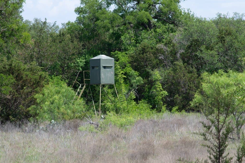 289 acres in Lampasas County - photo 14