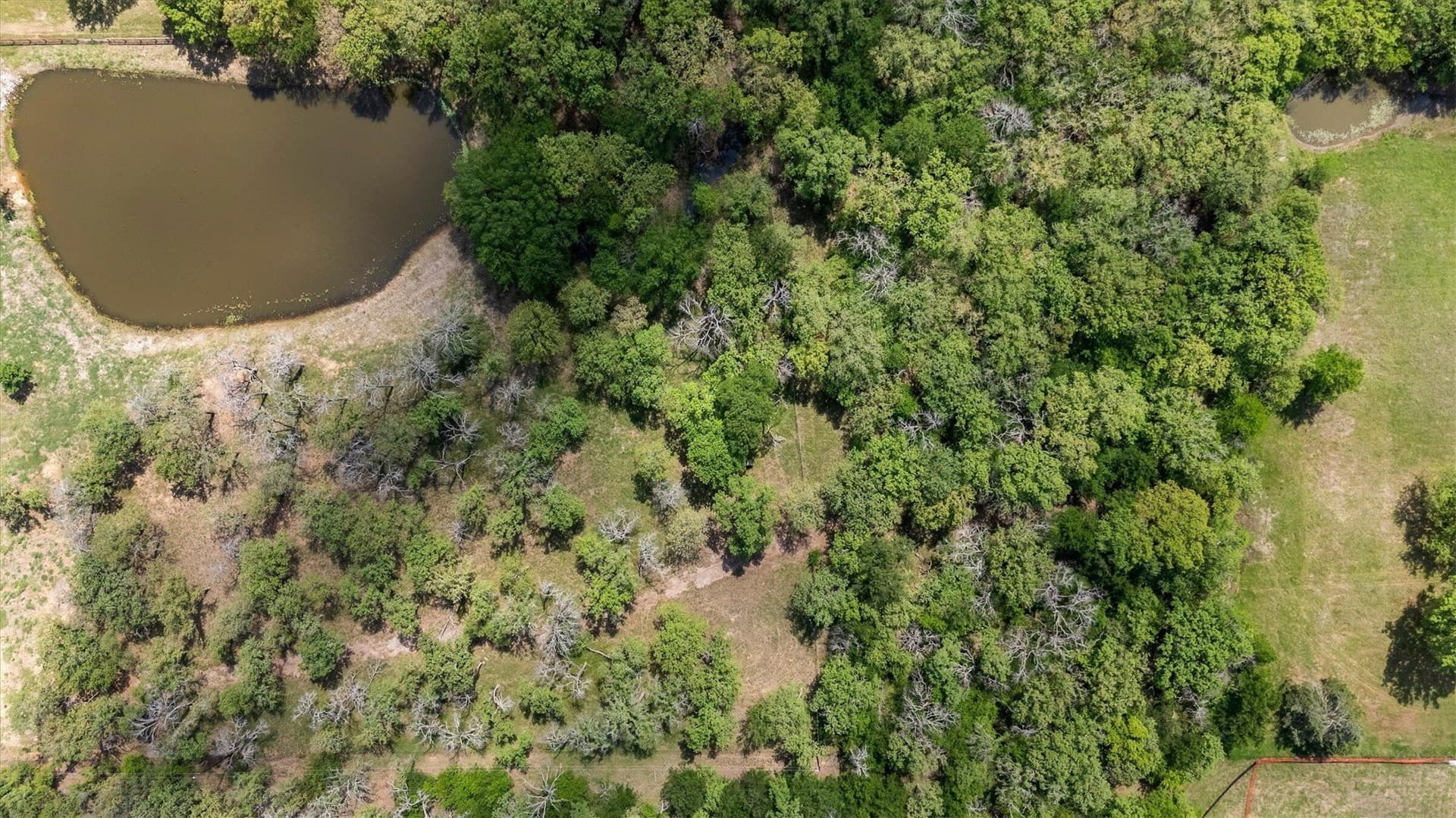 11.83 acres in Denton County - photo 2