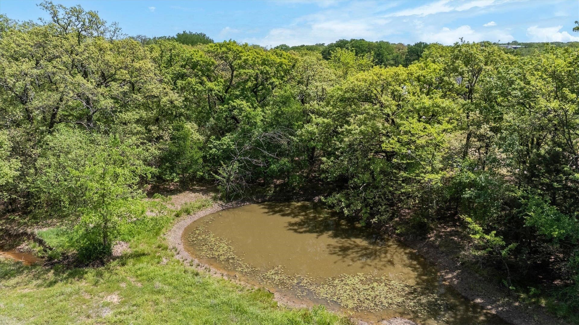 11.83 acres in Denton County - photo 5