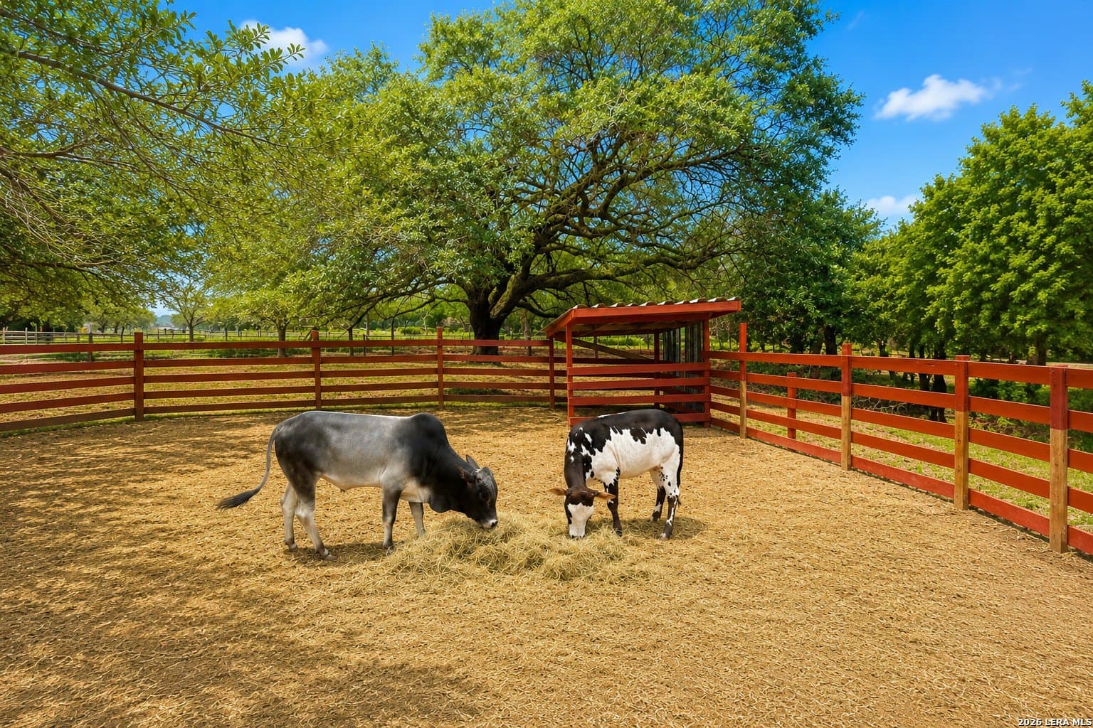 10.6 acres in Atascosa County - photo 2
