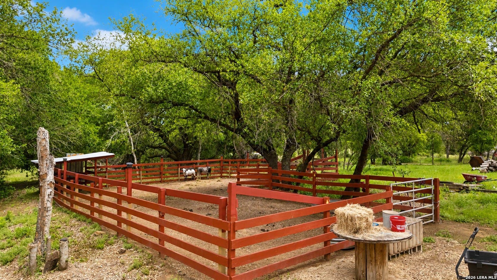 10.6 acres in Atascosa County - photo 35