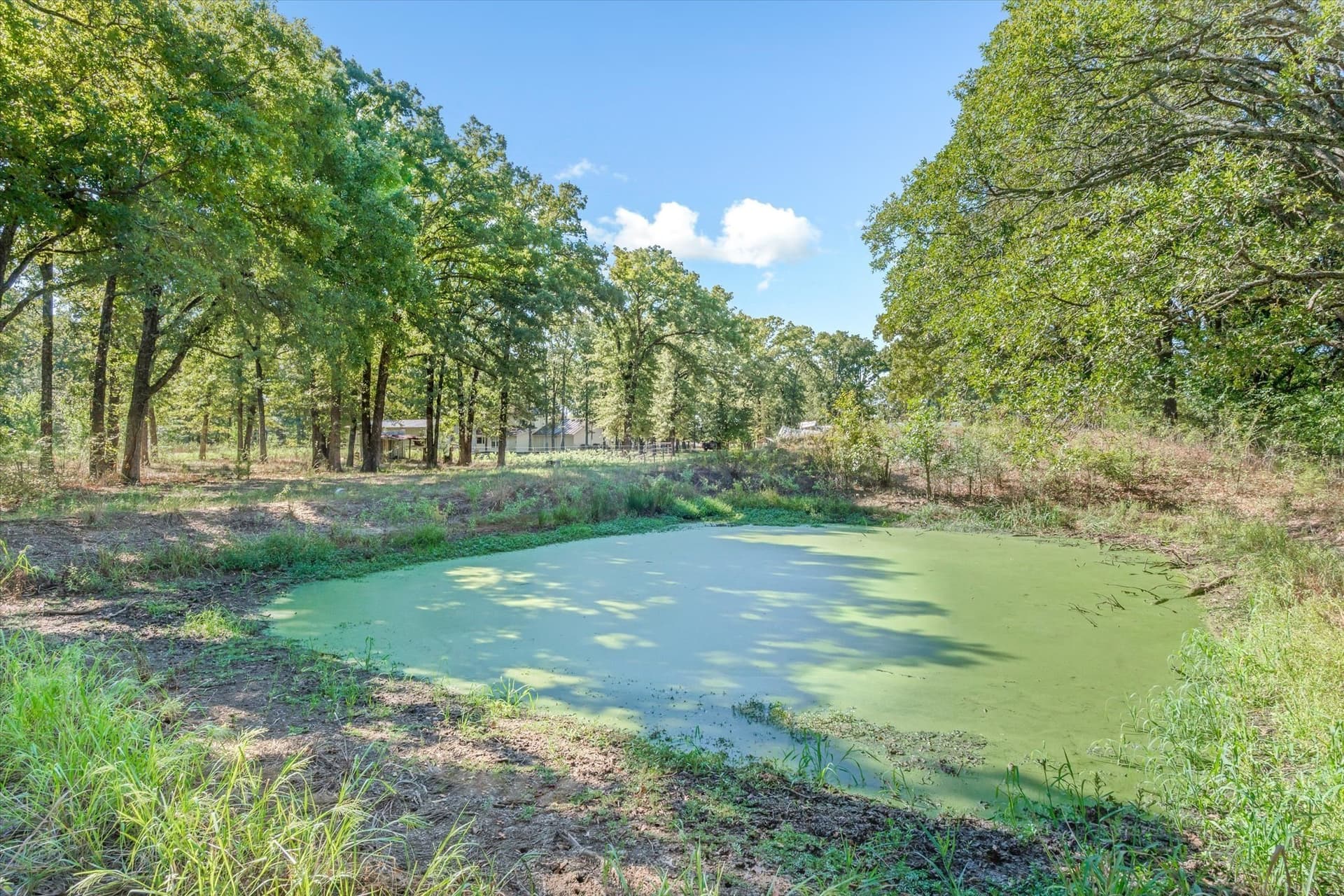 8.55 acres in Van Zandt County - photo 35