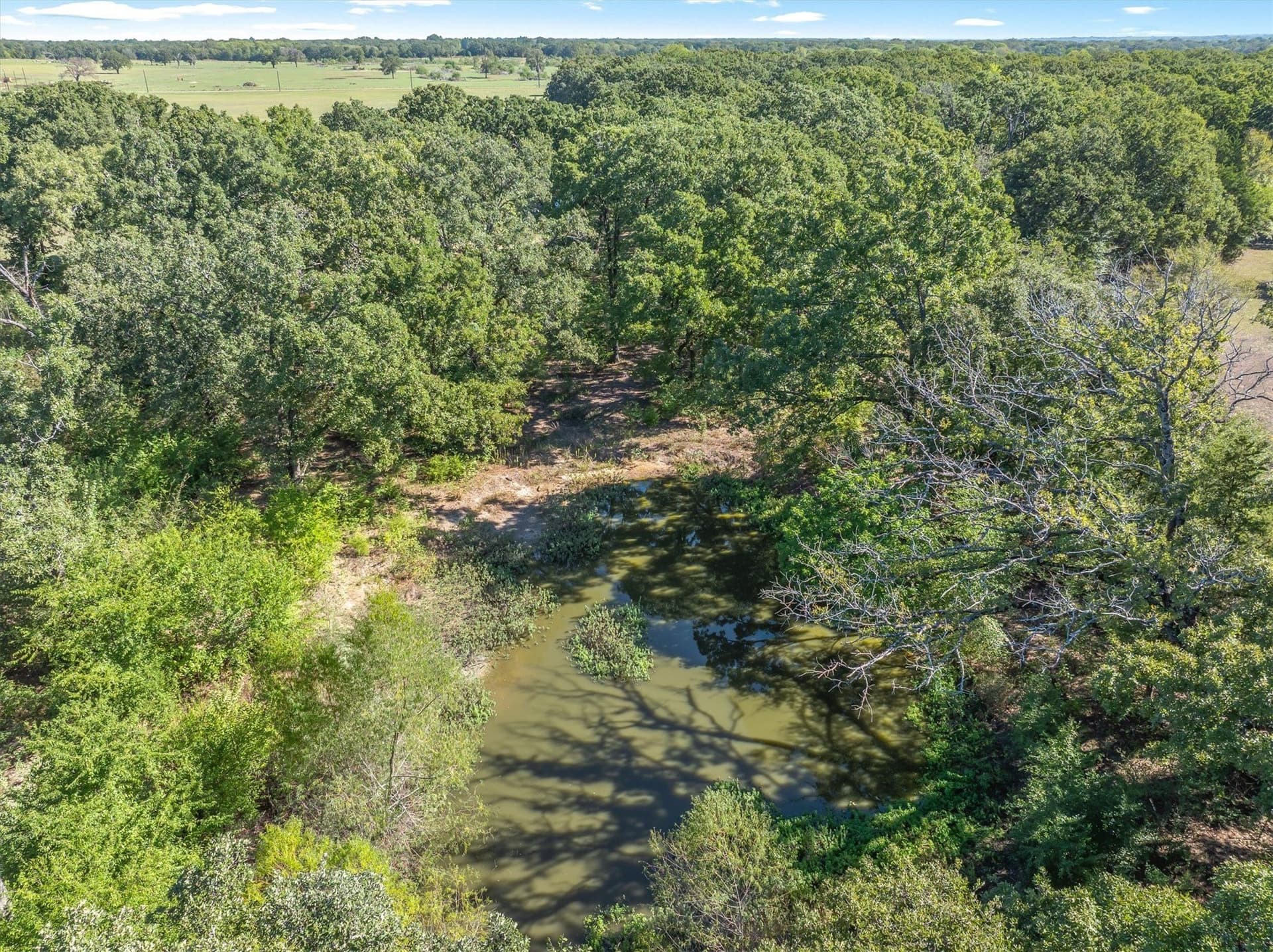 8.55 acres in Van Zandt County - photo 33