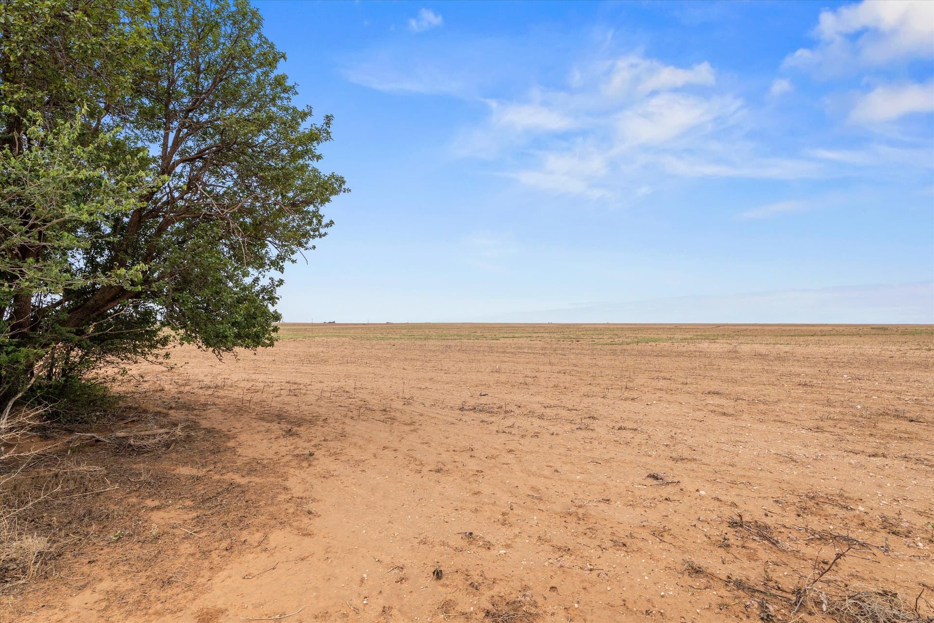 640 acres in Terry County featured view