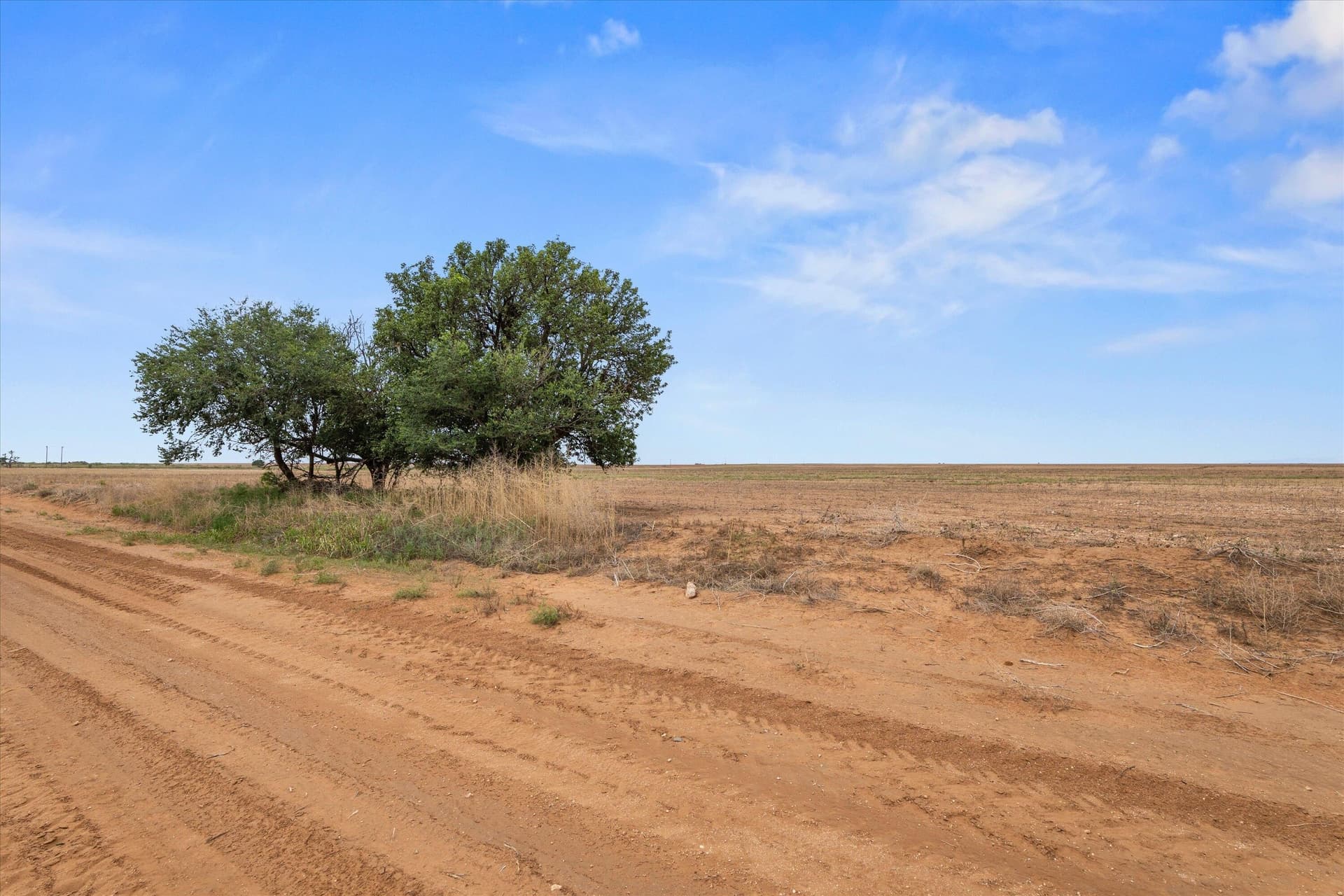 640 acres in Terry County gallery image 4