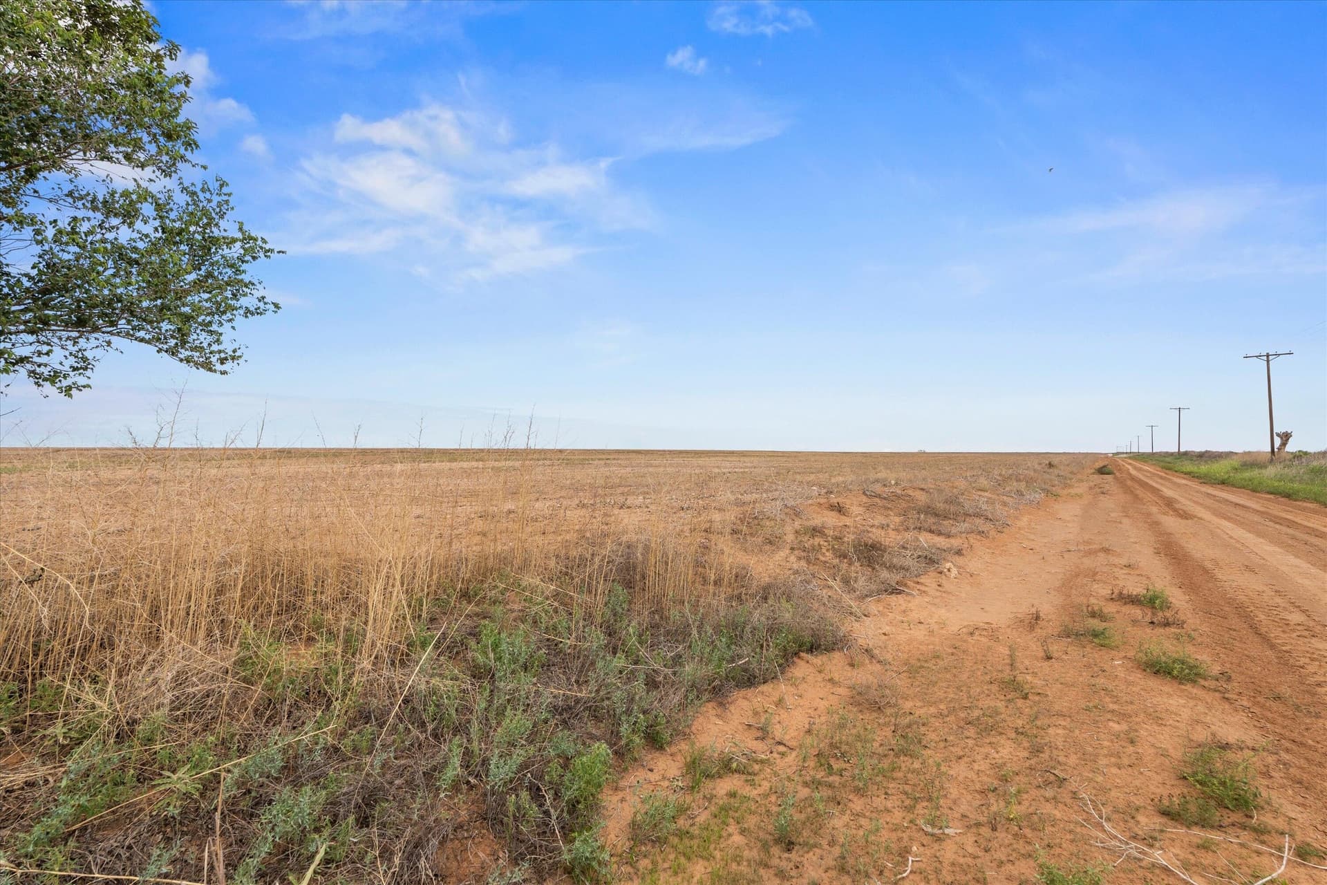 640 acres in Terry County gallery image 3