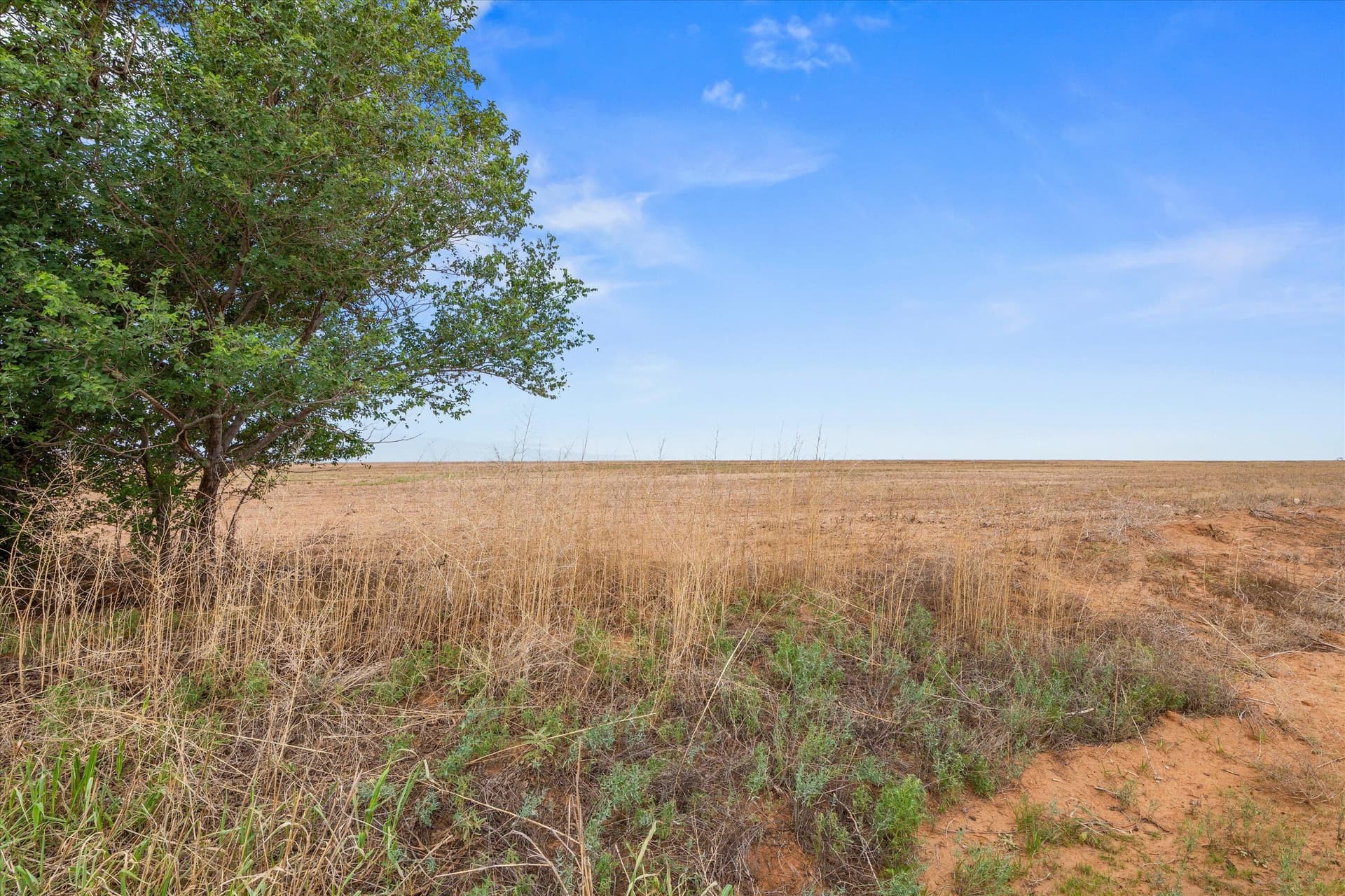 640 acres in Terry County gallery image 2