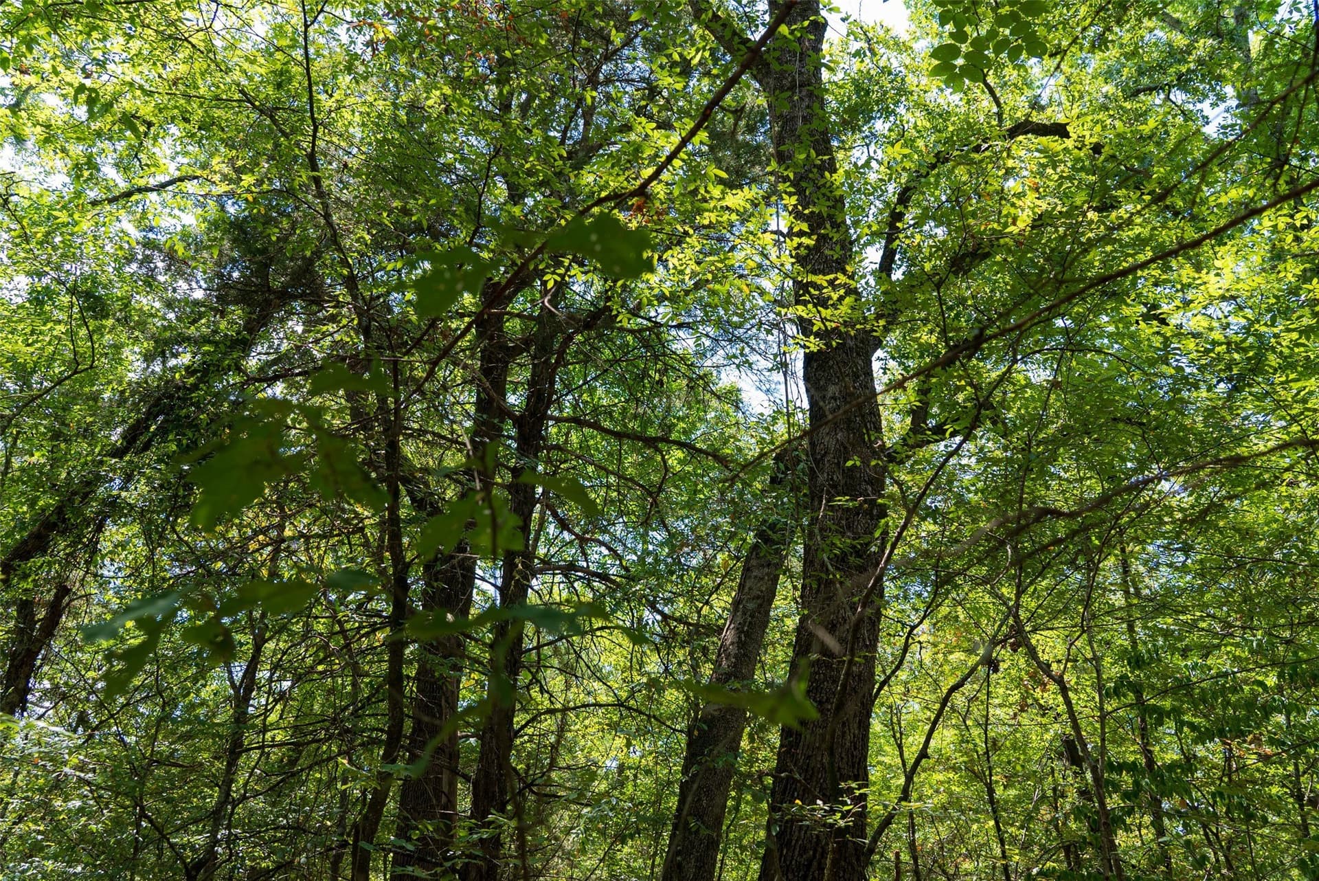 20.22 acres in Henderson County - photo 32