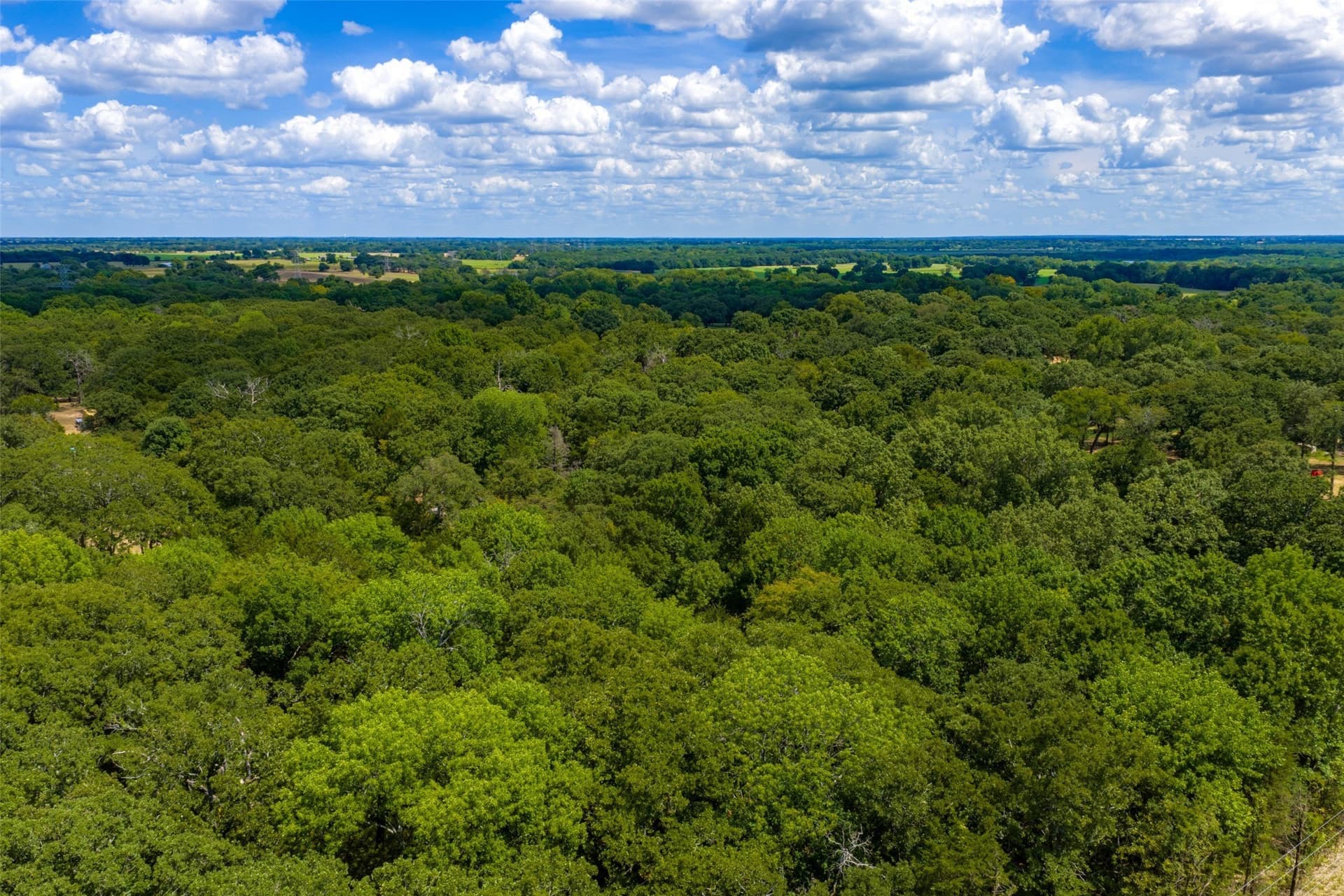 20.22 acres in Henderson County - photo 13