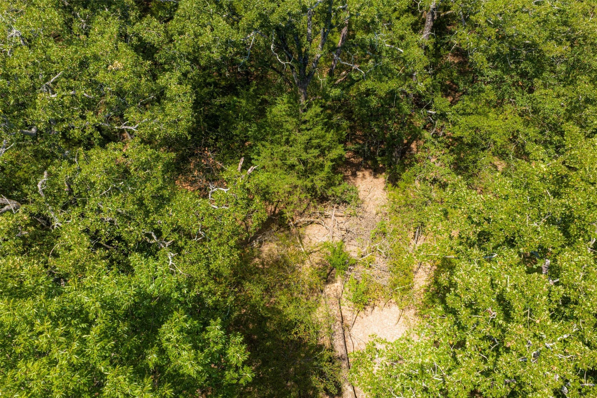 20.22 acres in Henderson County - photo 7