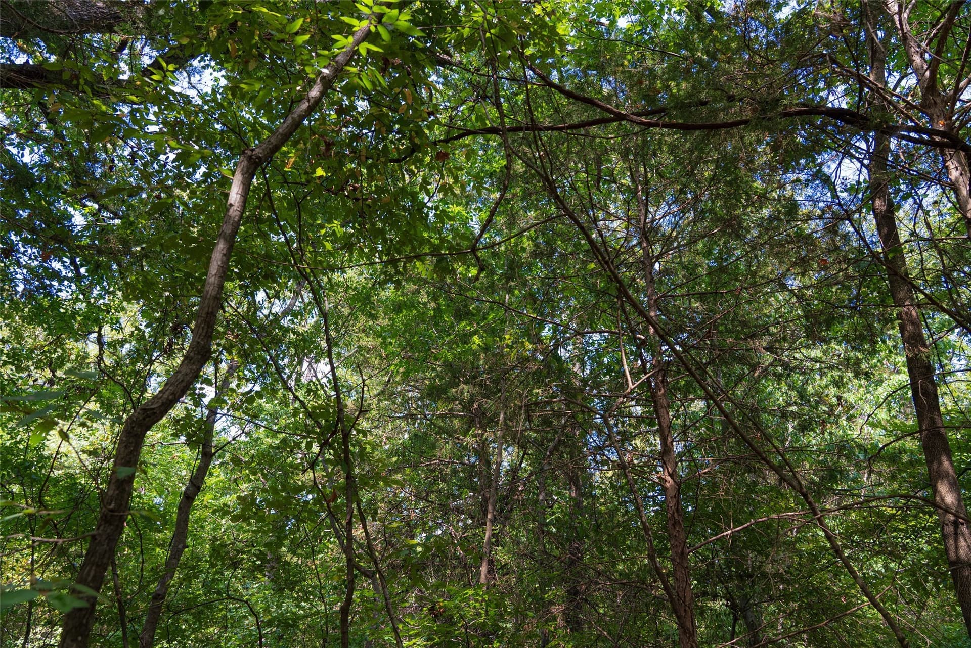 20.22 acres in Henderson County - photo 25