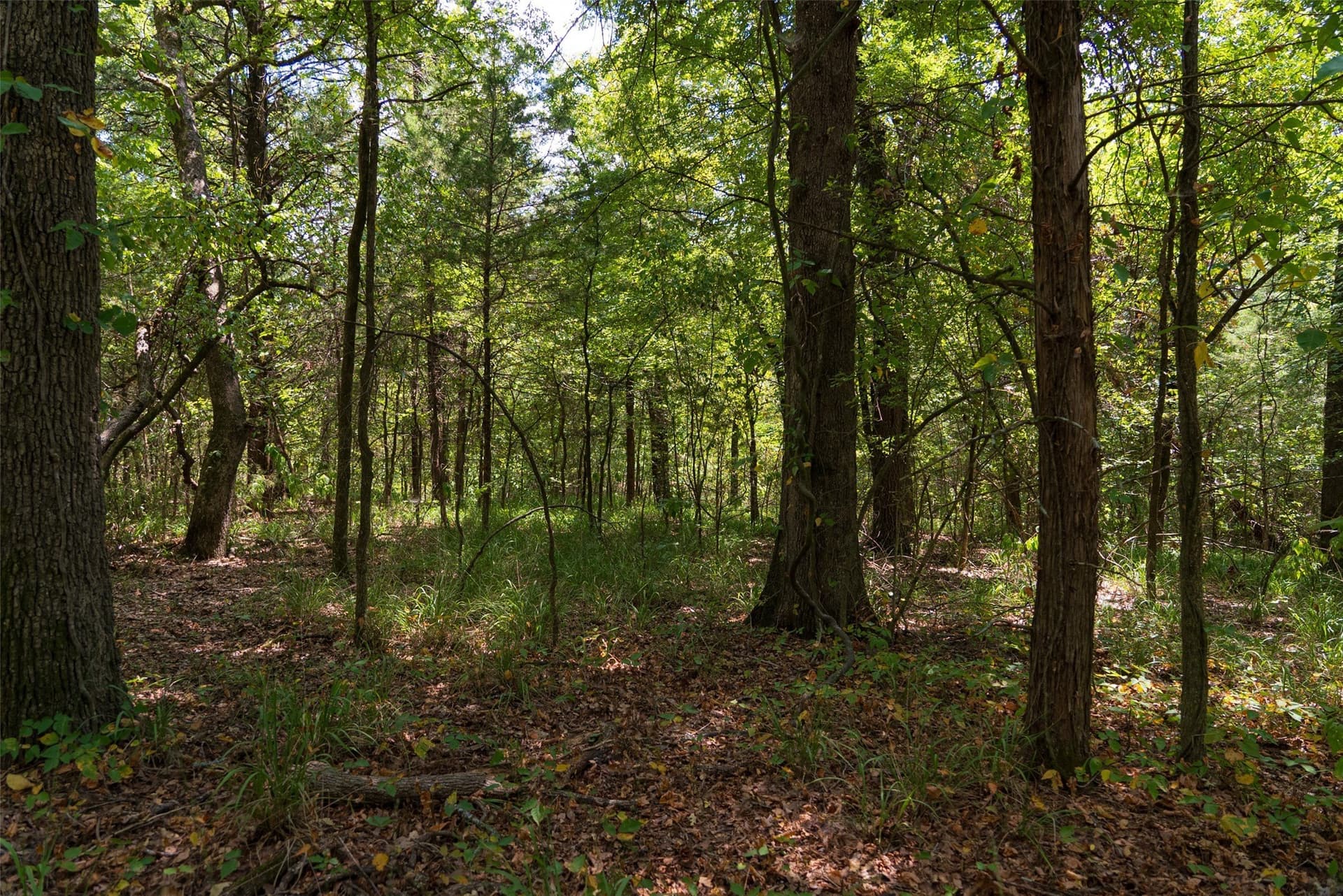 20.22 acres in Henderson County - photo 34