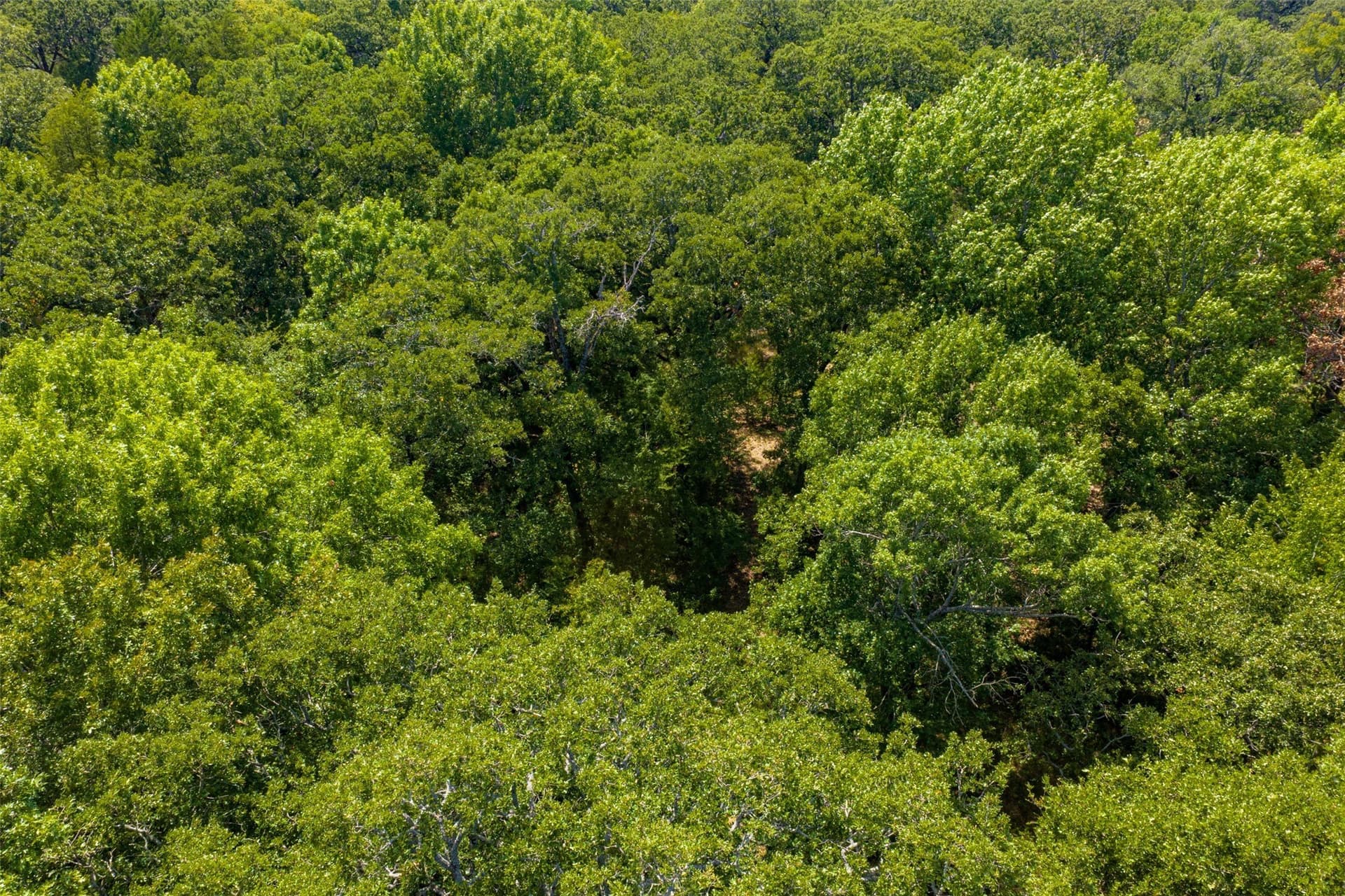 20.22 acres in Henderson County - photo 16