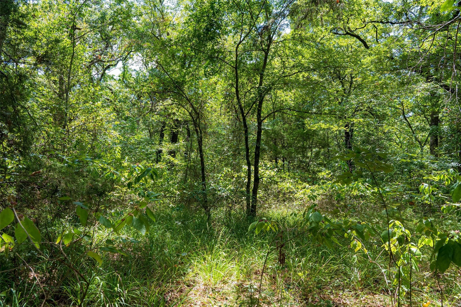 20.22 acres in Henderson County - photo 30