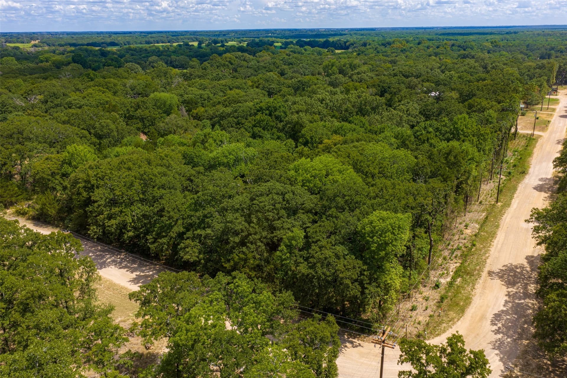 20.22 acres in Henderson County - photo 5
