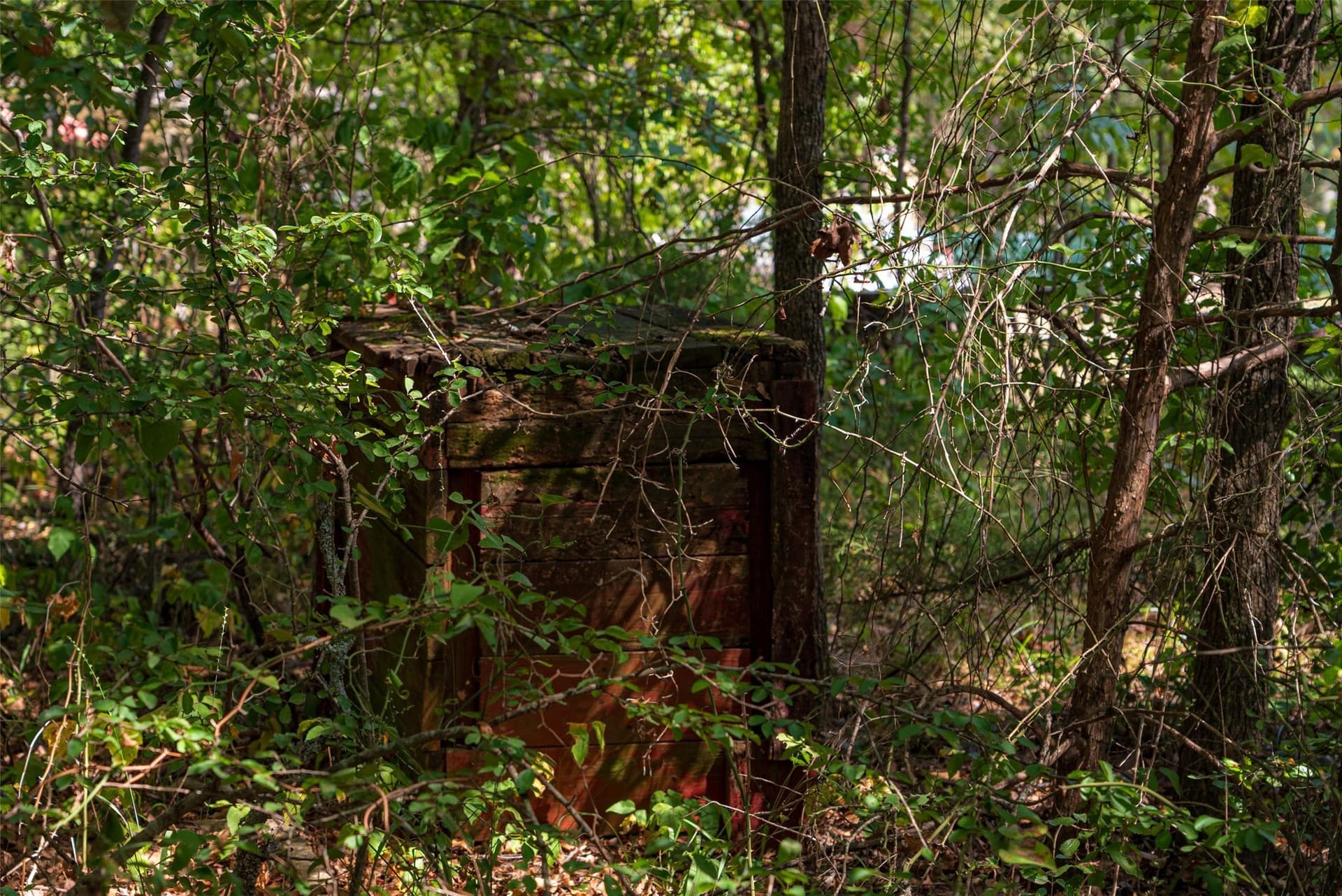 20.22 acres in Henderson County - photo 33