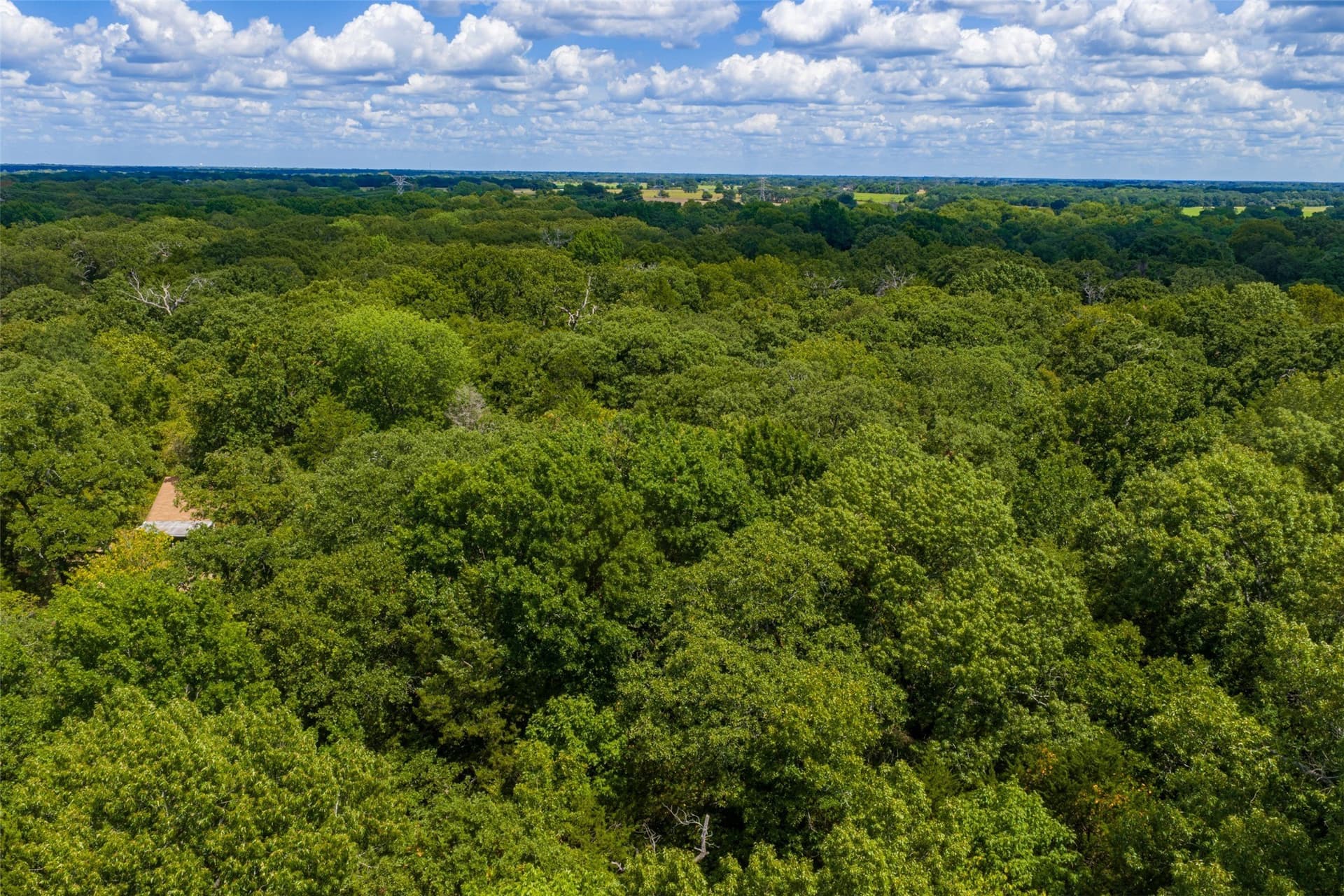 20.22 acres in Henderson County - photo 27