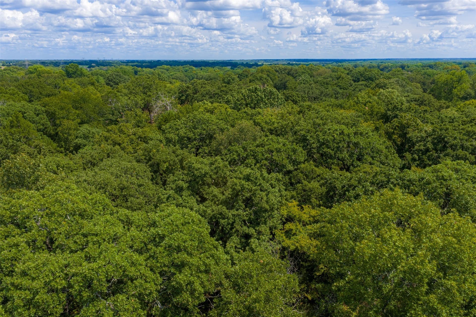 20.22 acres in Henderson County - photo 12