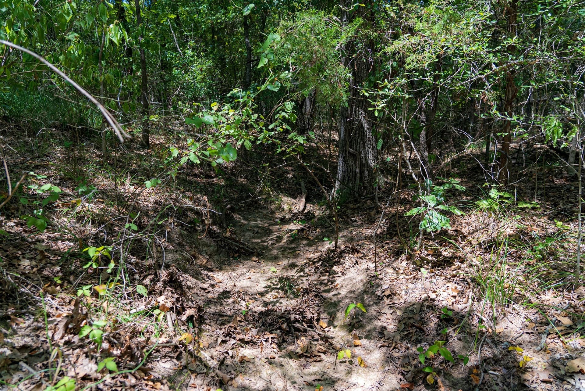 20.22 acres in Henderson County - photo 6