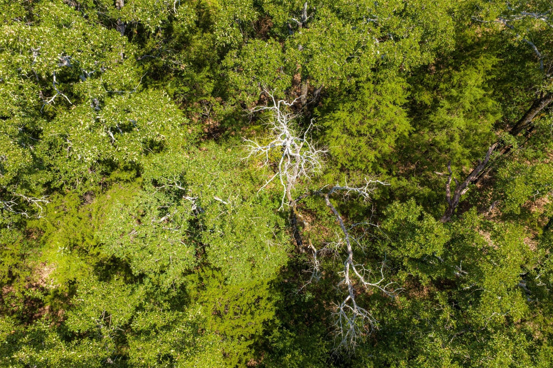20.22 acres in Henderson County - photo 26