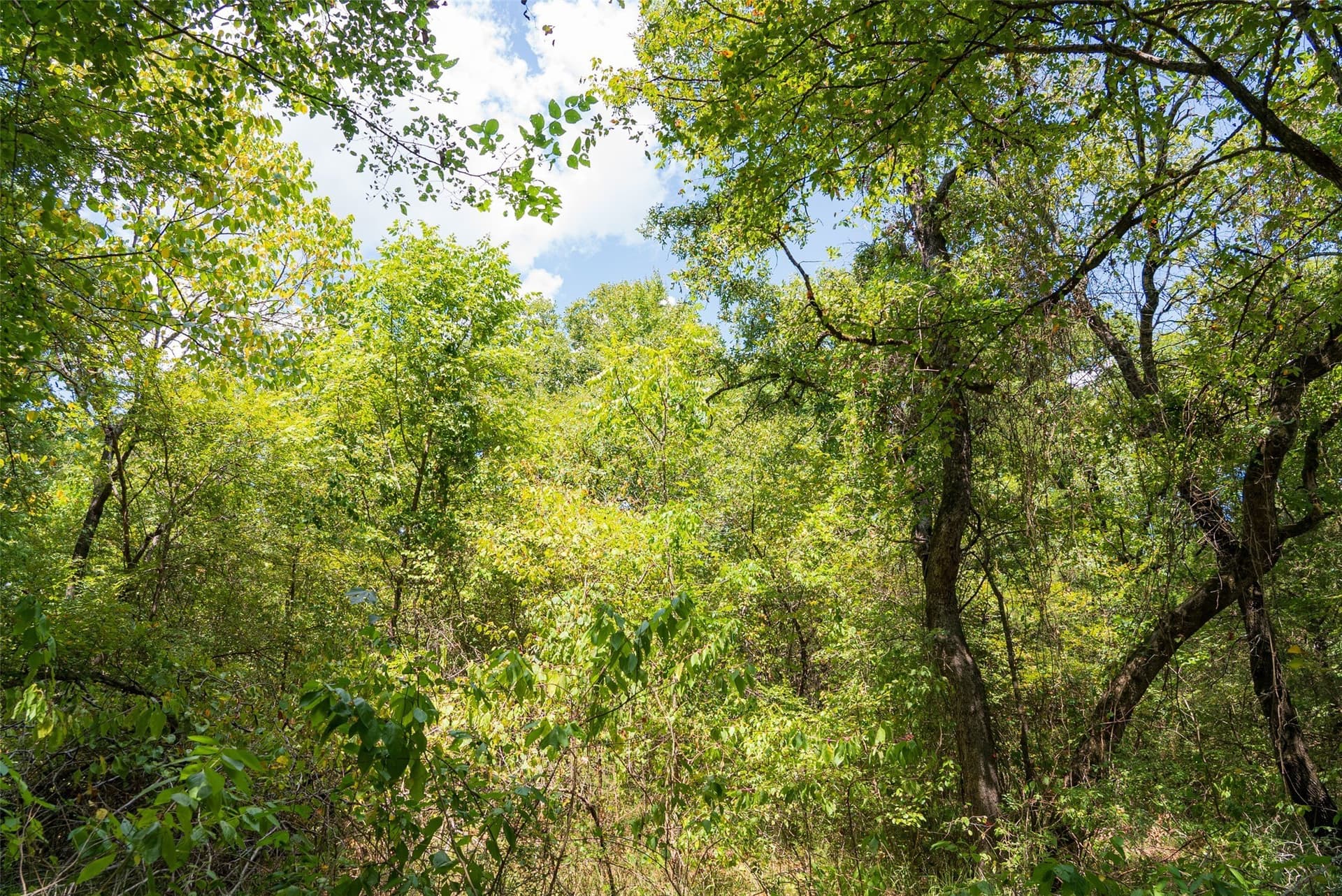 20.22 acres in Henderson County - photo 29