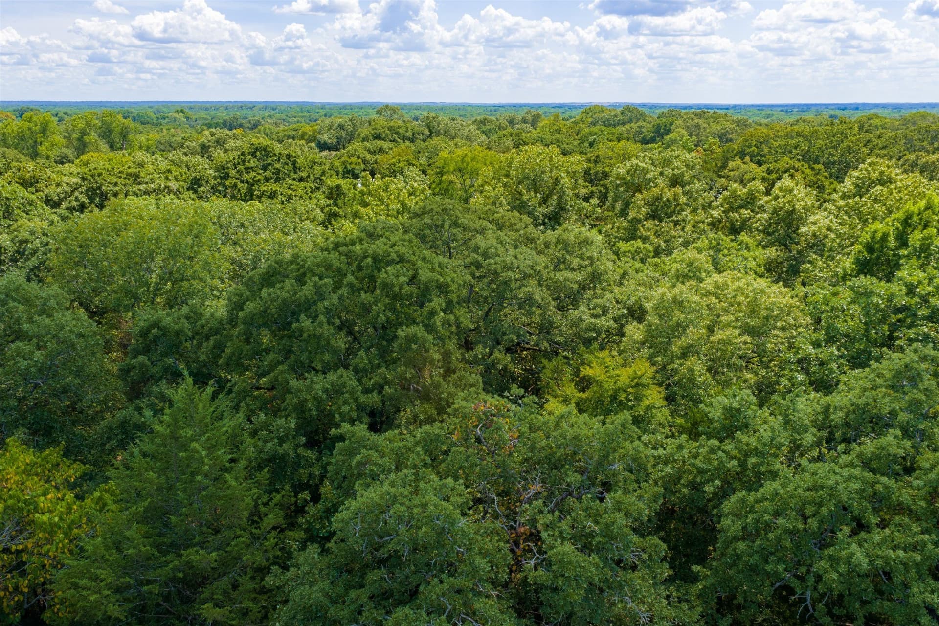 20.22 acres in Henderson County - photo 18