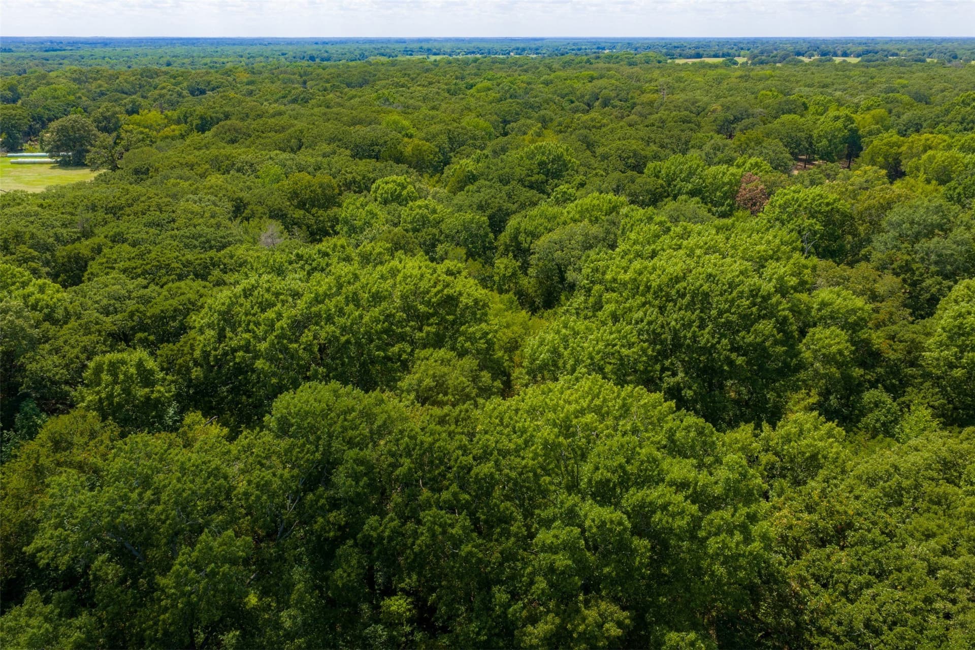20.22 acres in Henderson County - photo 17