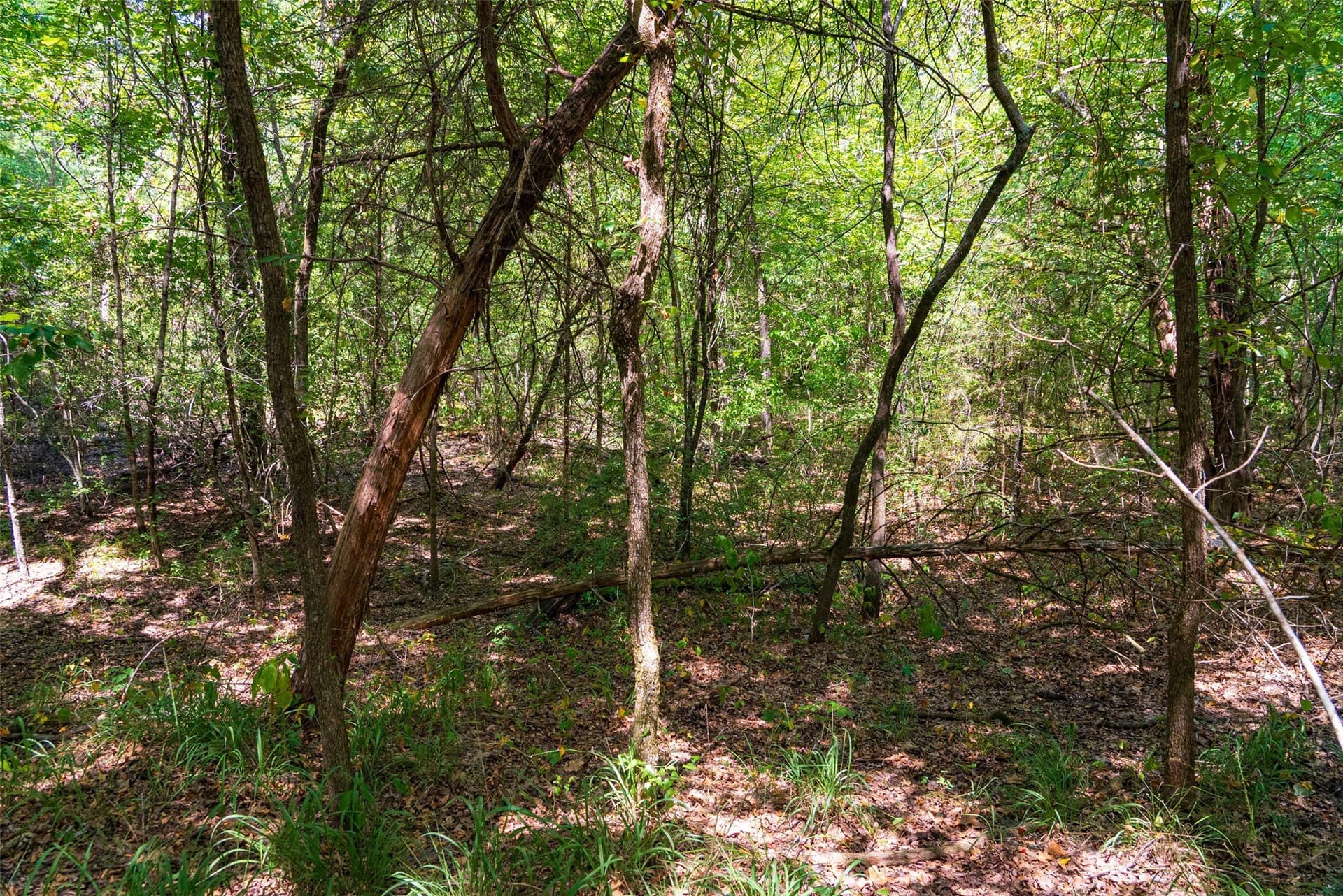20.22 acres in Henderson County - photo 31