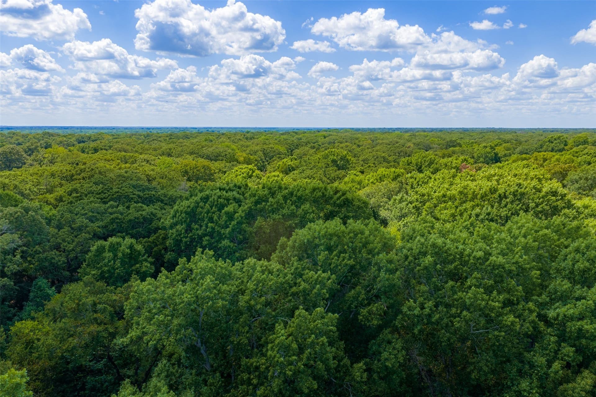 20.22 acres in Henderson County - photo 9