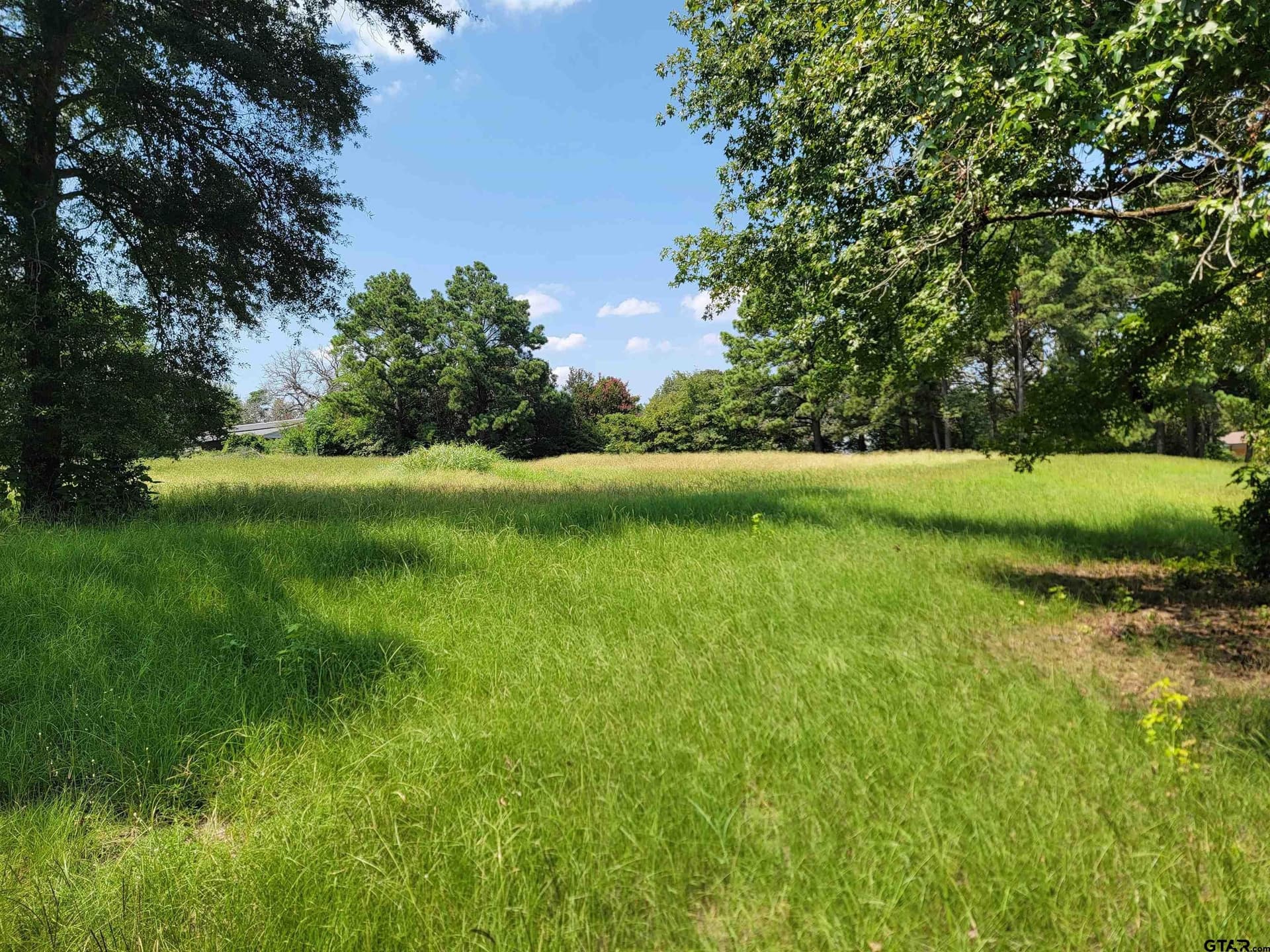 2.79 acres in Henderson County gallery image 3