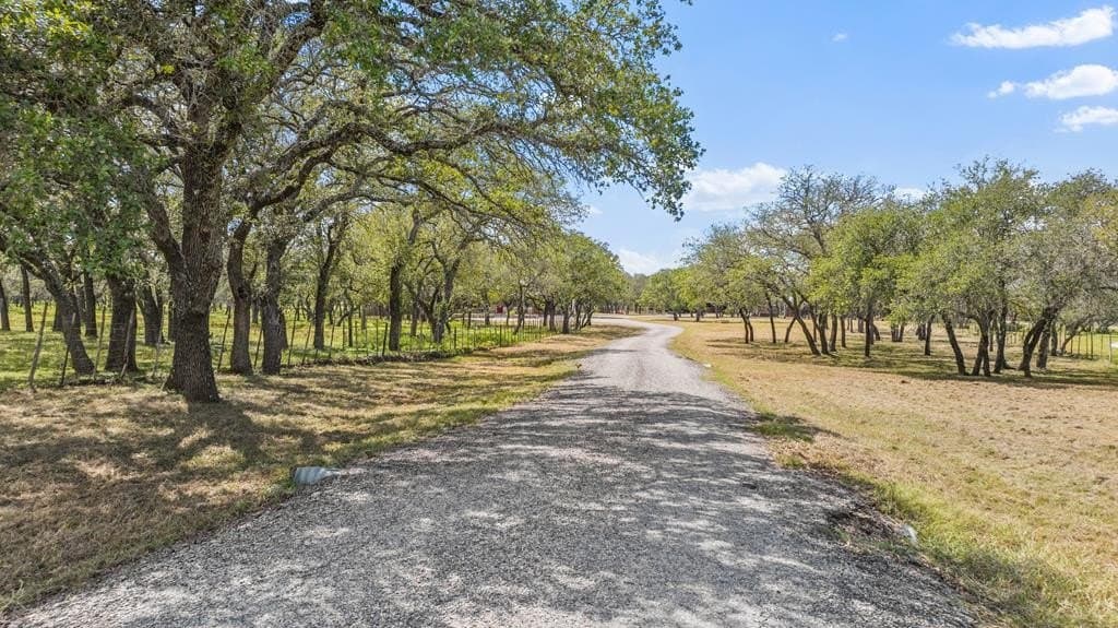 10 acres in Blanco County gallery image 4
