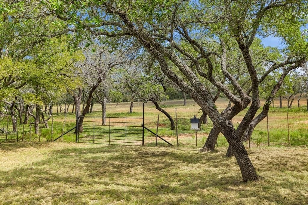 10 acres in Blanco County - photo 17