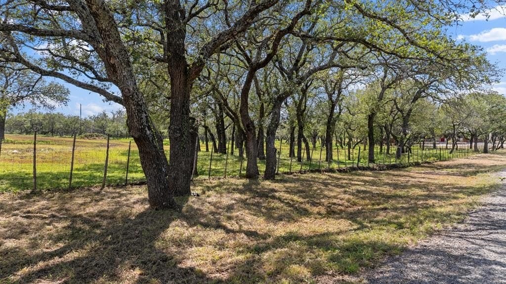 10 acres in Blanco County - photo 14