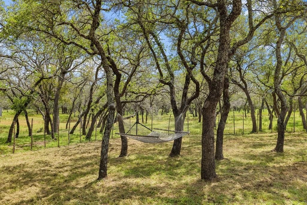 10 acres in Blanco County - photo 25