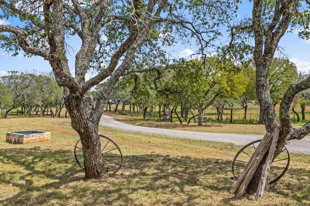 10 acres in Blanco County - photo 34